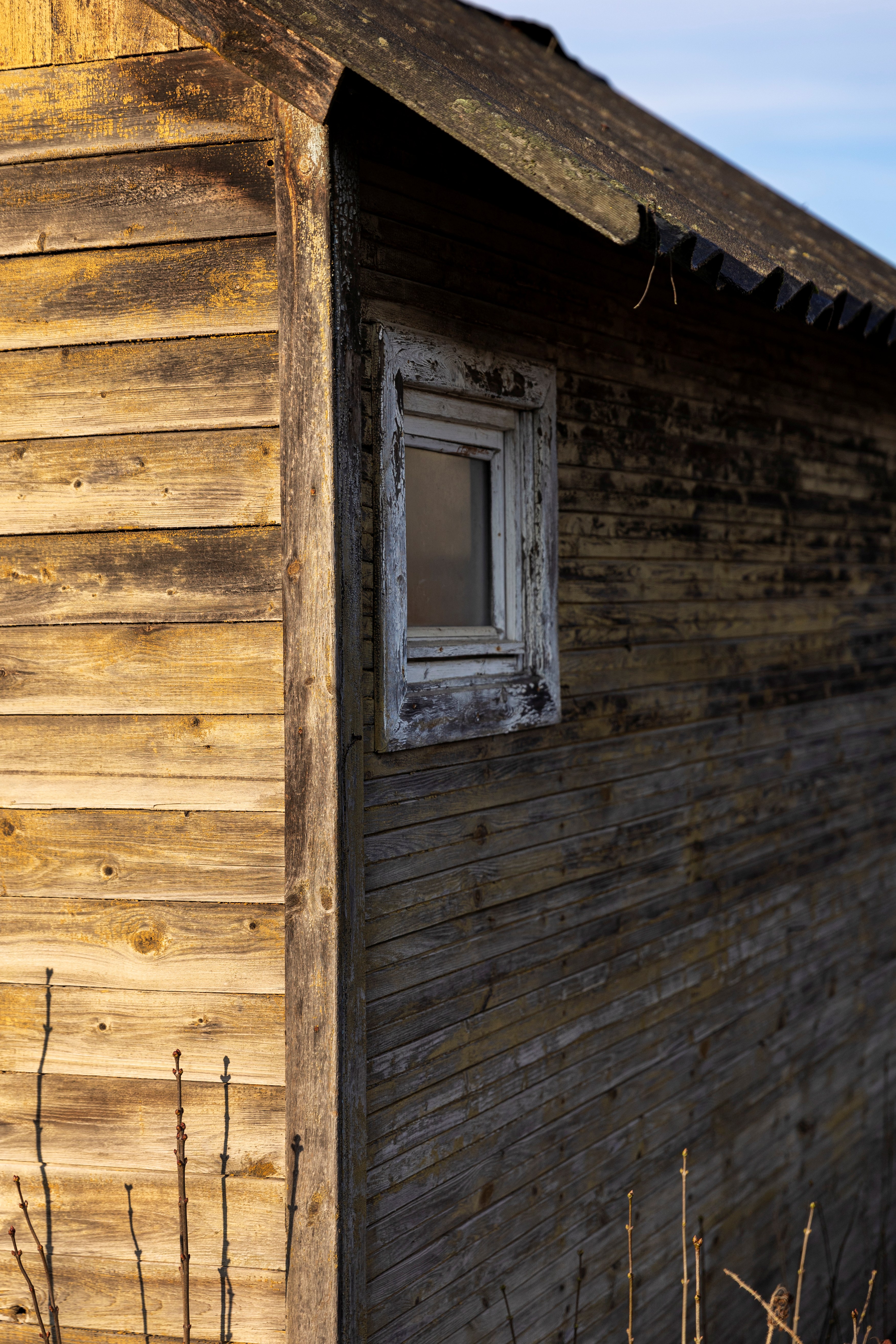 une maison en bois contaminé